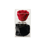 1 Rose <br> Red/Black Tourmaline