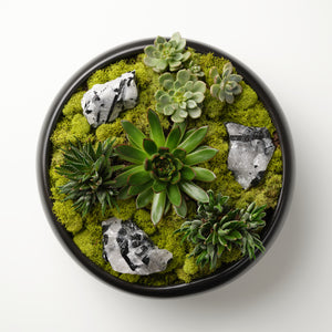 
            
                Load image into Gallery viewer, Tourmalated Quartz x Succulents
            
        