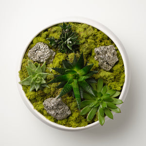 
            
                Load image into Gallery viewer, Pyrite x Succulents
            
        